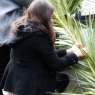 Nicolinas 2010