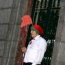 Nicolinas 2010