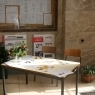 Jornadas Culturais 2011 - Dia 3