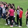 Corta Mato 2013