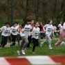 Corta Mato 2013