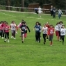 Corta Mato 2013
