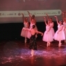 Sarau 2010