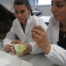Atividade Laboratorial de diversidade de Pigmentos