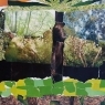 Curso de Artes Visuais