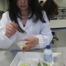Atividade Laboratorial de diversidade de Pigmentos