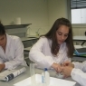 Atividade Laboratorial de diversidade de Pigmentos