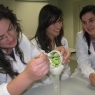 Atividade Laboratorial de diversidade de Pigmentos