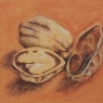 Curso de Artes Visuais