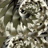 Artes Visuais 2013-14