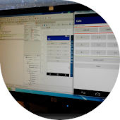 A��o de forma��o: 