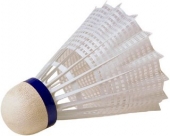 Desporto Escolar - Badminton