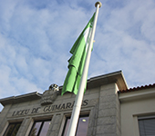 ESMS distinguida como Eco-Escola pelo 10� ano consecutivo